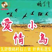 爱情小鸟