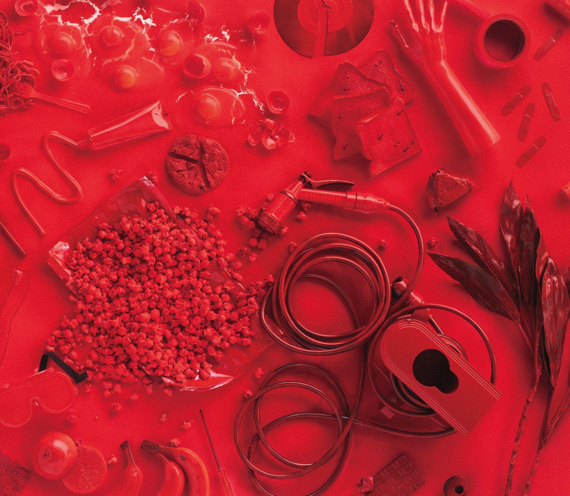 生きていたんだよな