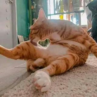 捞猴子的月亮
