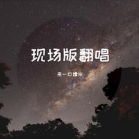 羽泉-一面湖水(LIVE版) 弱原音现场版伴奏