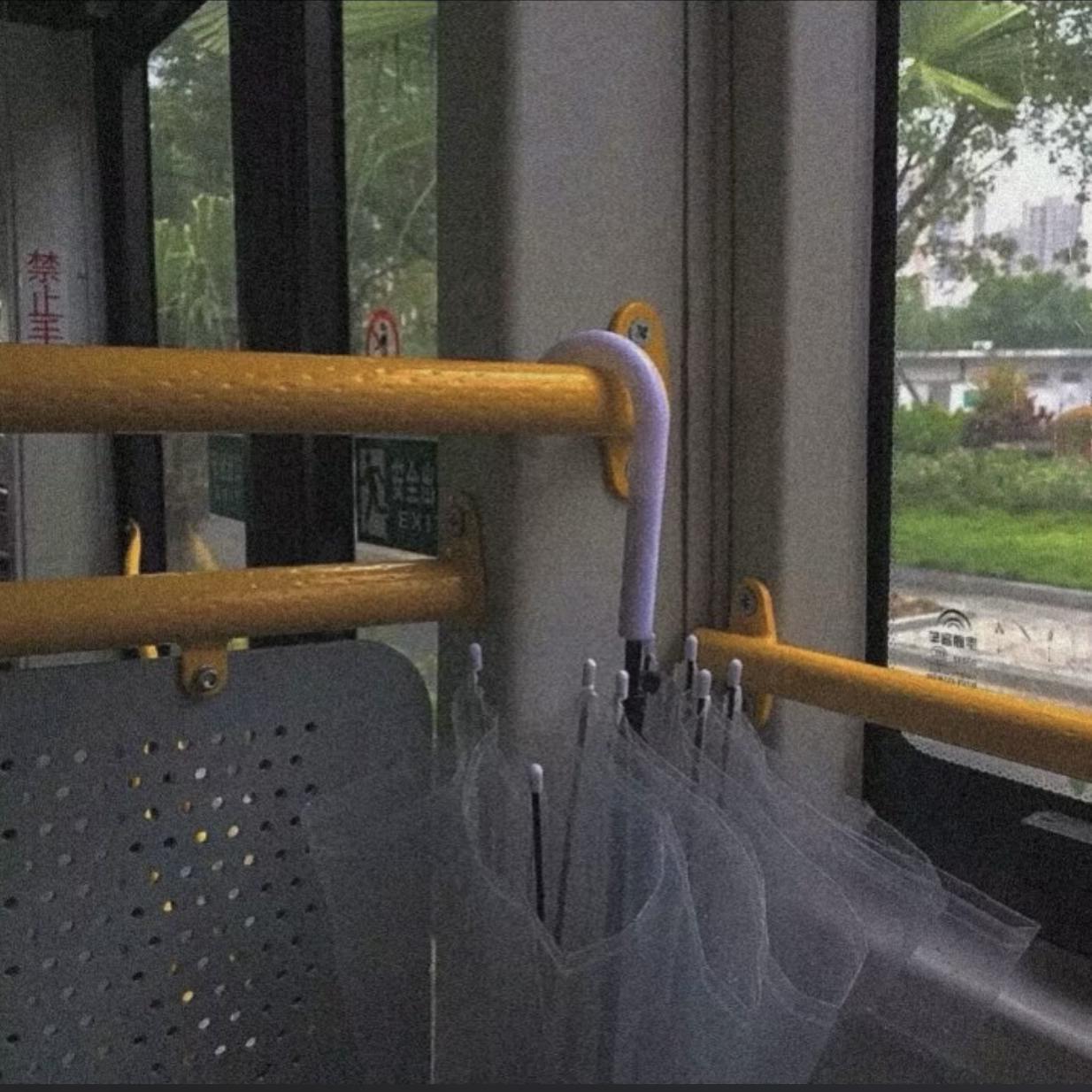 我的一个道姑朋友