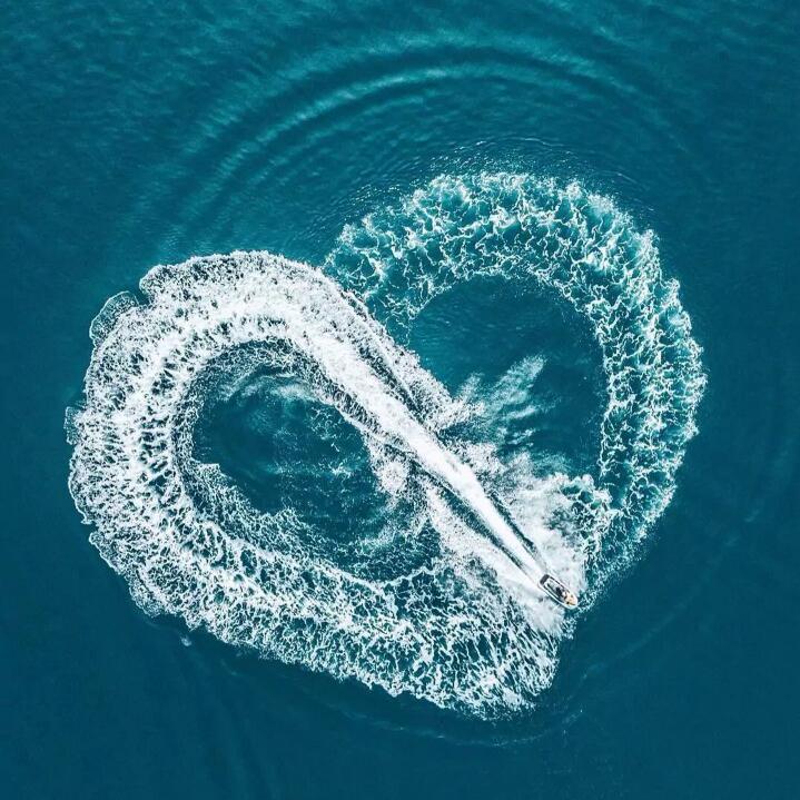 老牌子 4