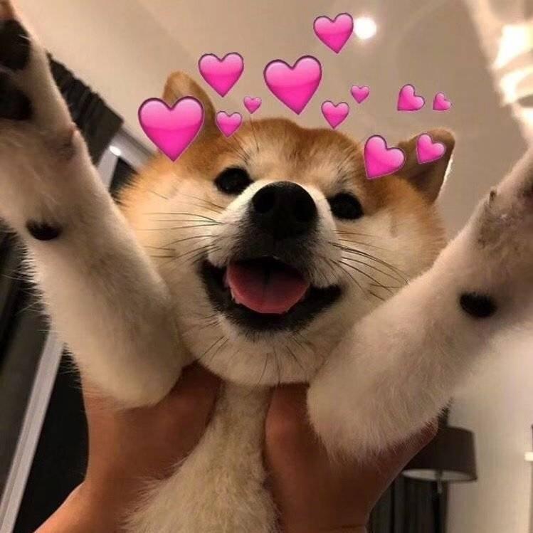 拍vlog需要的甜甜的BGM♡