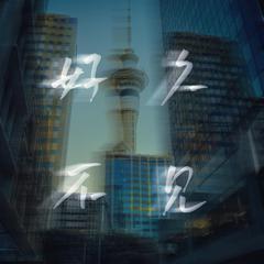 好久不见奥克兰 Long time no see, Auckland