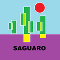 Saguaro专辑