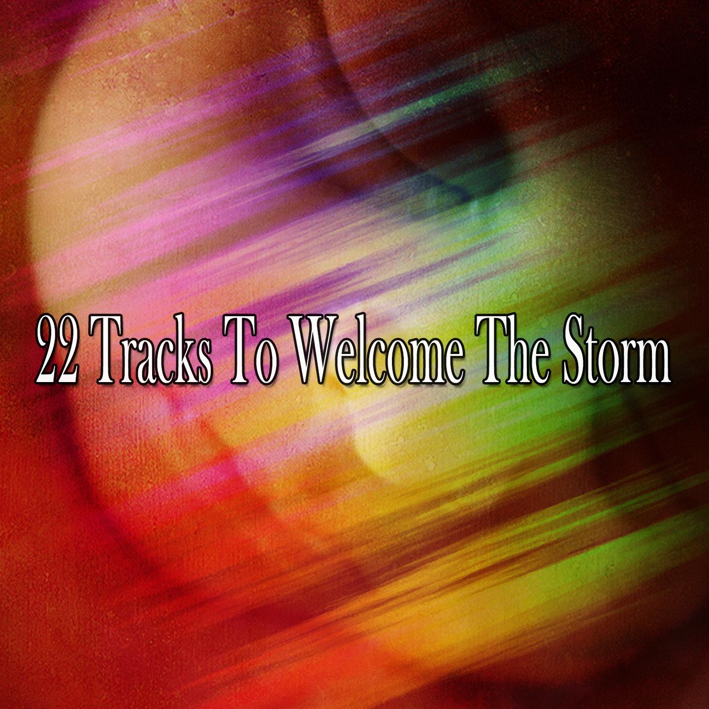 22 Tracks To Welcome The Storm专辑