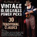 Vintage Bluegrass Power Picks: 30 Traditional Classics专辑