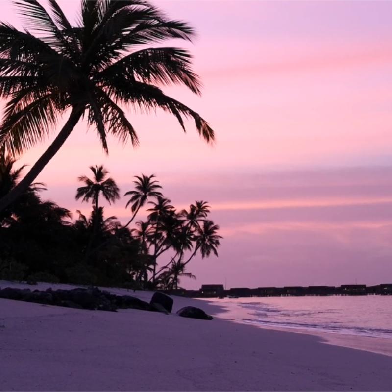 日落大道 | 音乐中享受黄昏时分的橘色城市