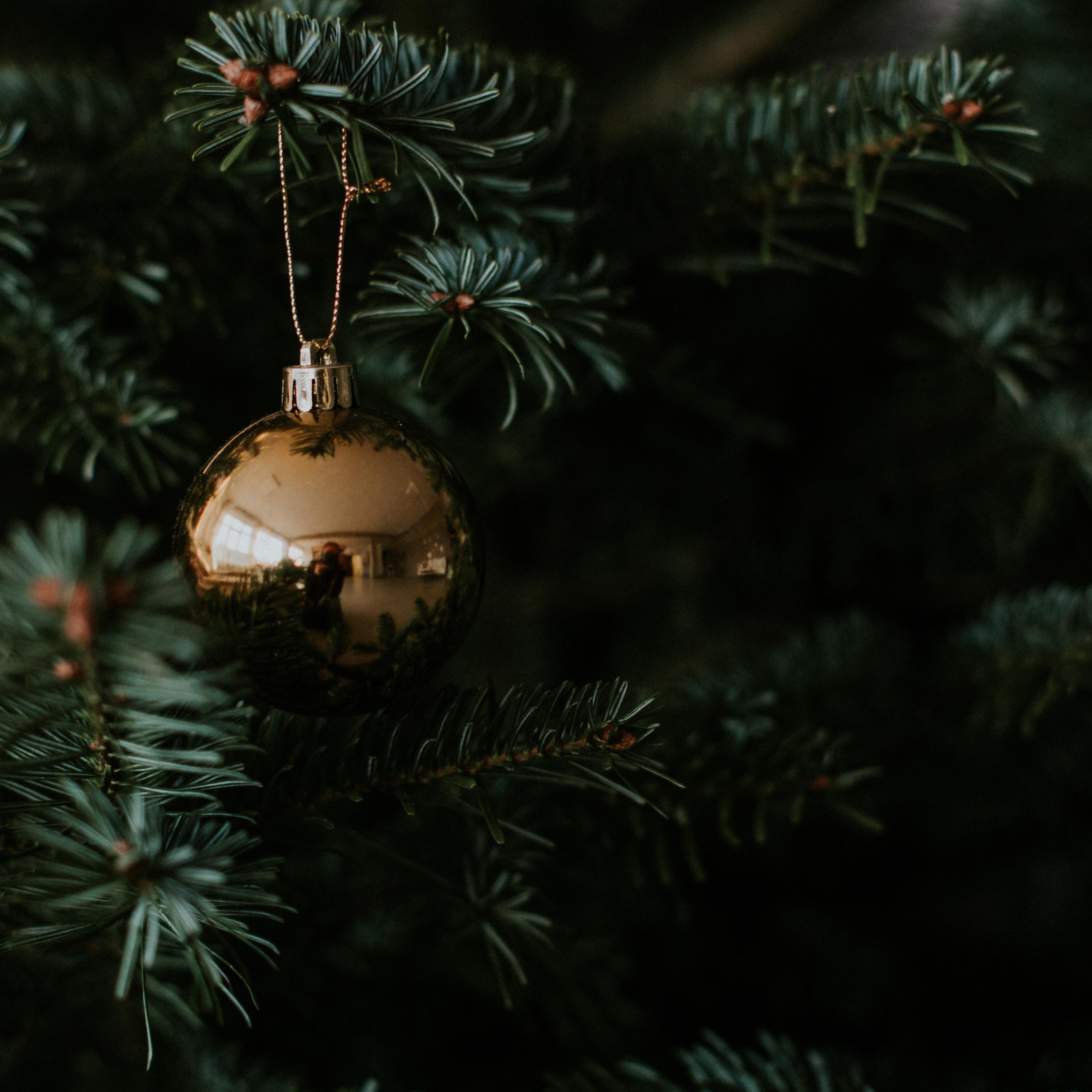 The Christmas Tree