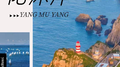 阳沐洋专辑