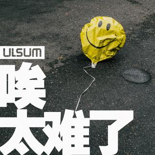 「唉，太难了」by ULSUM