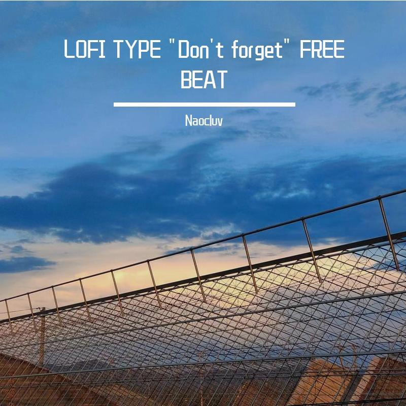 LOFI TYPE "Don't forget" FREE BEAT