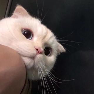 我很好,那麼你呢?
