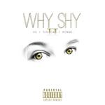 Why Shy Ⅱ专辑