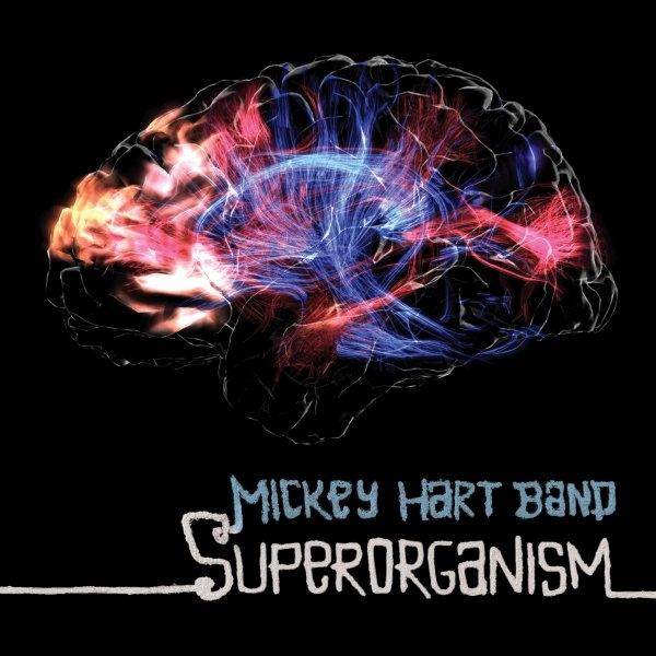 Superorganism