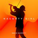 Naughty Girl (David Garrett Edition)专辑