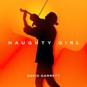 Naughty Girl (David Garrett Edition)专辑