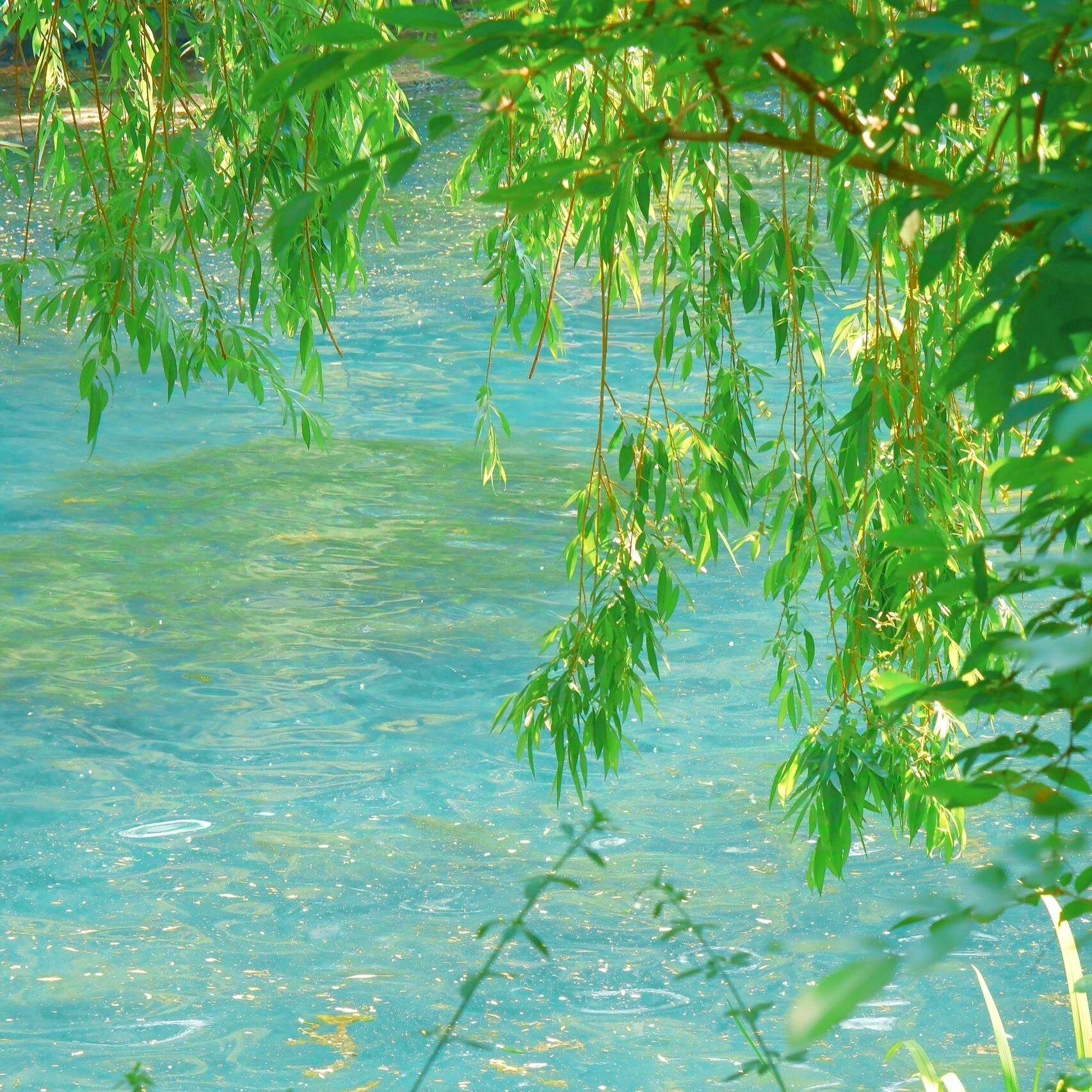我知青山江河乐