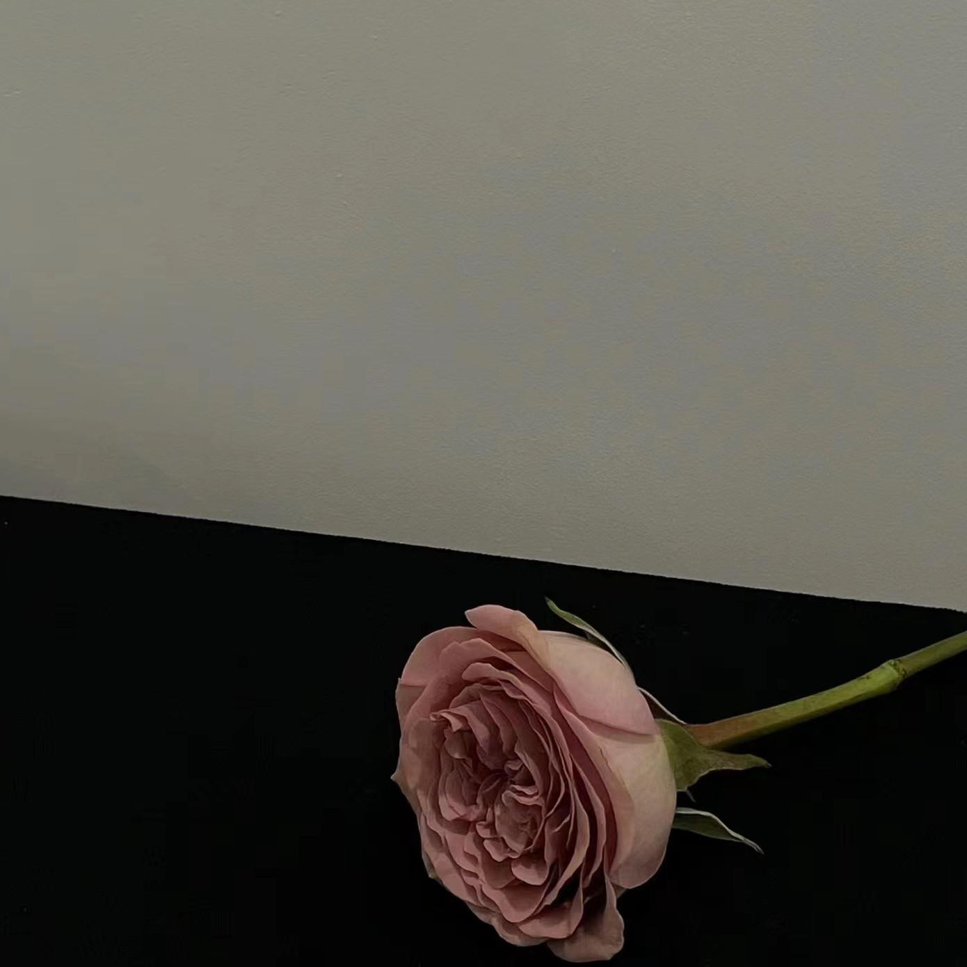 你让爱一点一滴汇成河专辑