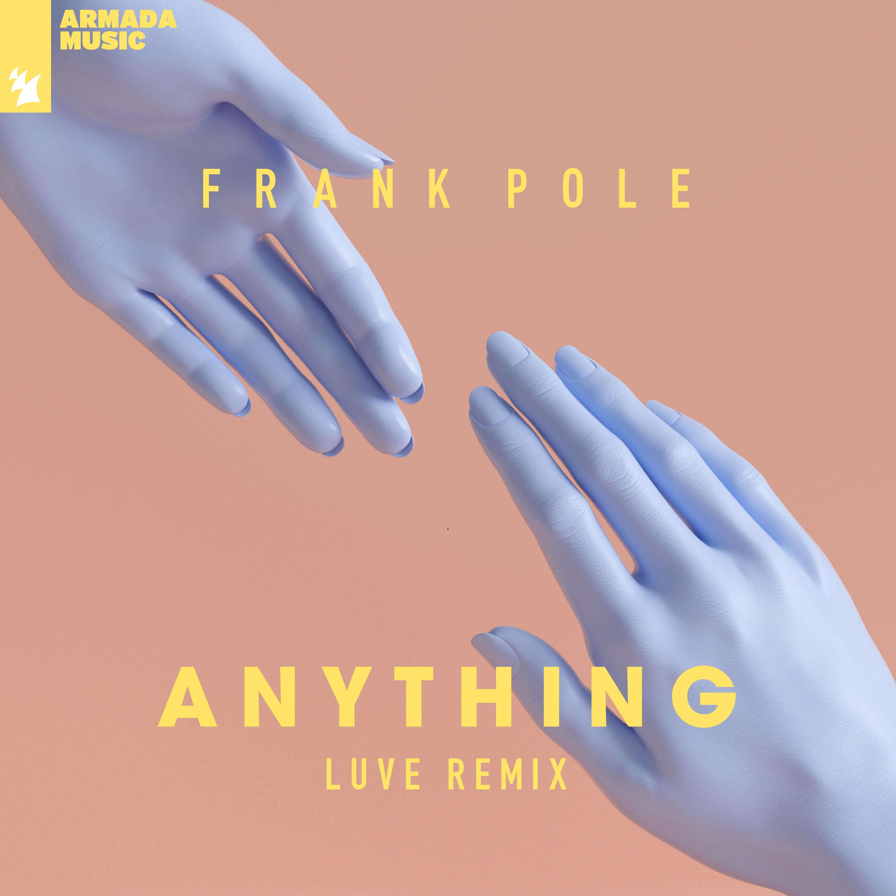Anything (LUVE Remix)
