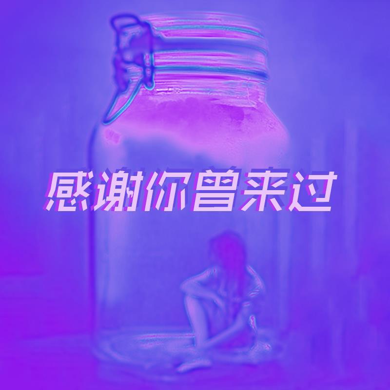 感谢你来过专辑