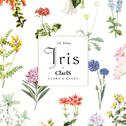 Iris专辑