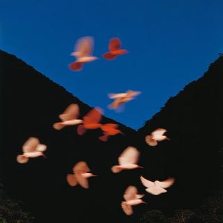 粵語小众 | 一個人聽粵語歌成習慣