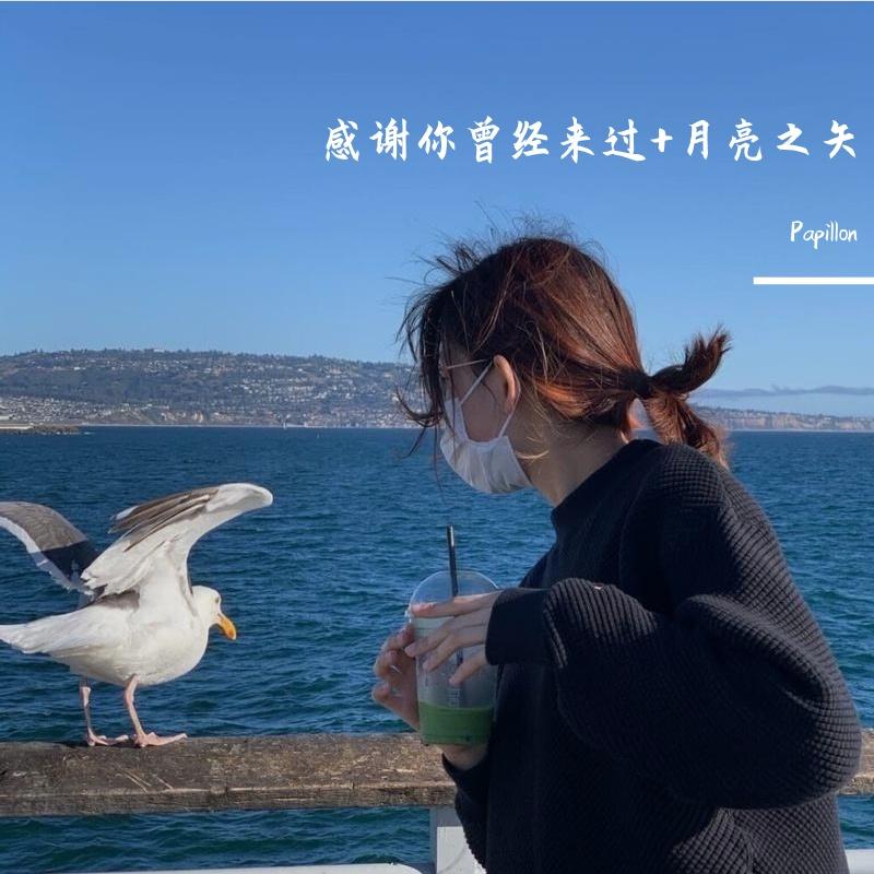 感谢你曾经来过+月亮之矢