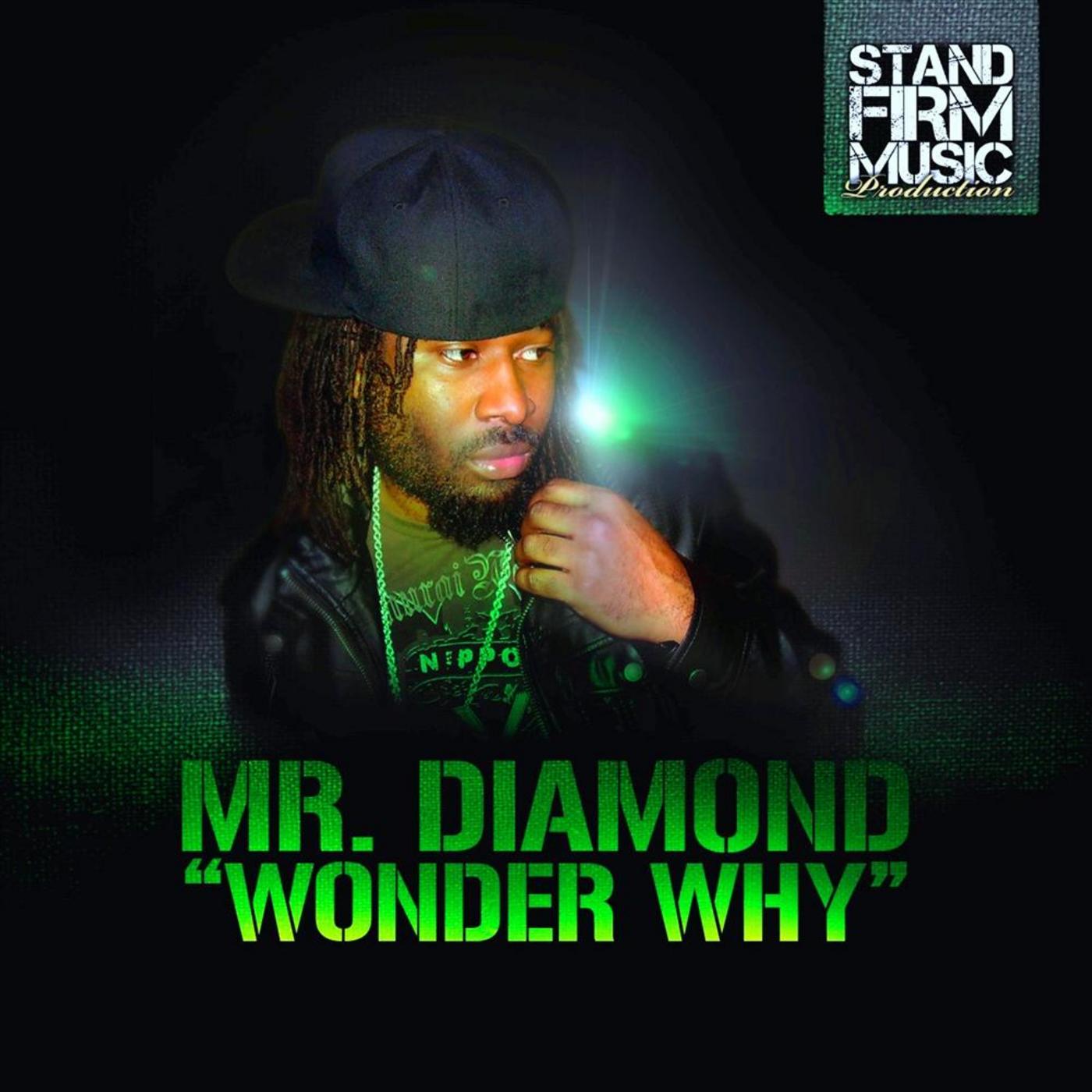 Wonder Why - Single