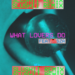What Lovers Do (Slushii Remix)专辑