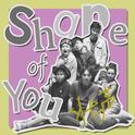 Shape of You专辑