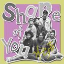 Shape of You专辑