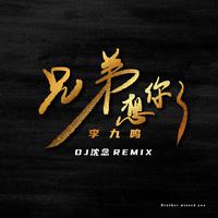 DJ嘉宾舞曲串烧嗨版 - 兄弟想你了(2017时尚舞曲嗨版资料)