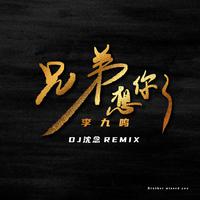 兄弟想你了（2022沈阳西部女歌手艾晴晴EDM舞曲资料）电音DJ （嘉宾）