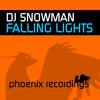 DJ Snowman - Falling Lights (Extended Mix)