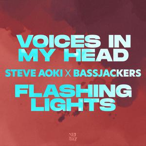 Steve Aoki、Bassjackers、Teddy Bee - Voices In My Head (ft. Teddy Bee)(精消带伴唱)伴奏