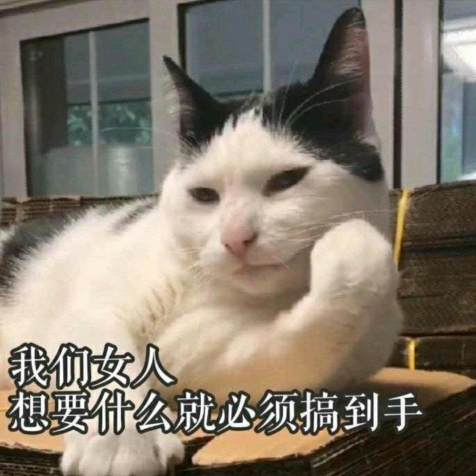 这城市风总是很大,孤独的人总是晚回家 | 在线播放 | 网易云音乐