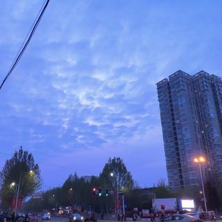 精心|神仙翻唱 Cover系列