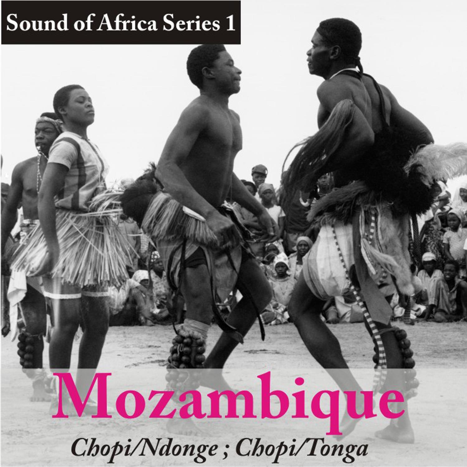Sound of Africa Series——非洲音乐
