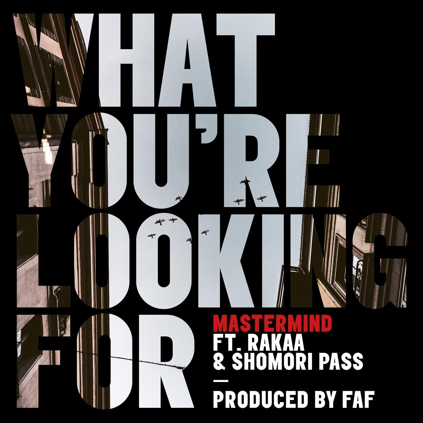 What You're Looking For (feat. Rakaa & Shomori Pass)