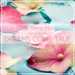 Deep Sleep Music - The Best of Dreams Come True: Relaxing Music Box Covers专辑