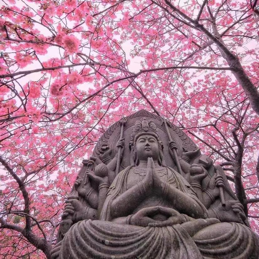 鸟の诗（绝版八音盒）