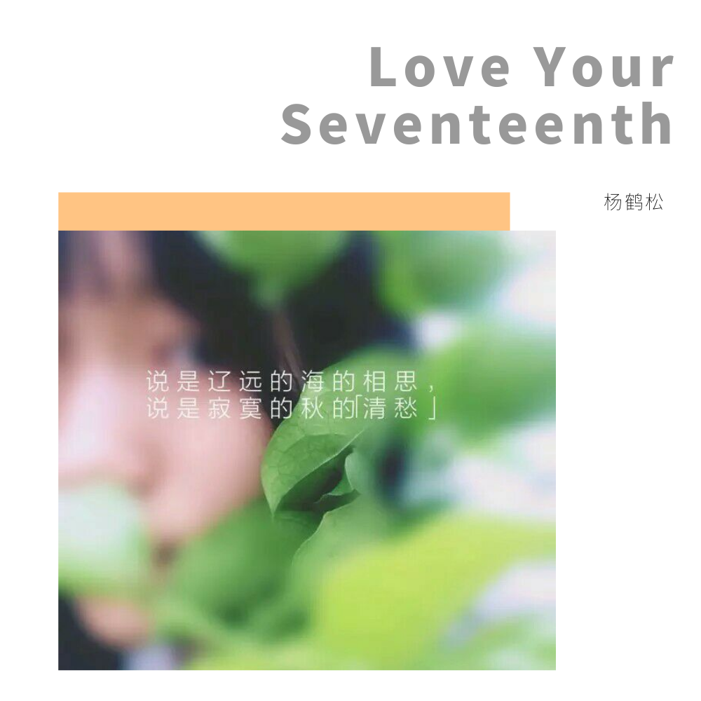 Love Your Seventeenth专辑