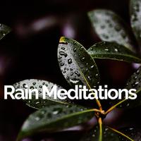 Rain Meditations资料,Rain Meditations最新歌曲,Rain MeditationsMV视频,Rain Meditations音乐专辑,Rain Meditations好听的歌