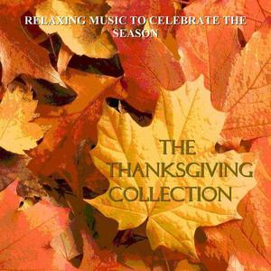 The Thanksgiving Song - Ben Rector (Karaoke Version) 无和声伴奏