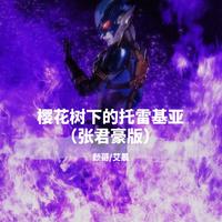 张雷 - 托(原版立体声伴奏)版本2