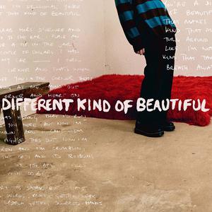 Alec Benjamin - Different Kind Of Beautiful (伴和声伴唱)伴奏