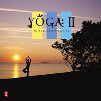 Yoga II-03 - Erhu s Dream (from the albumAncient C