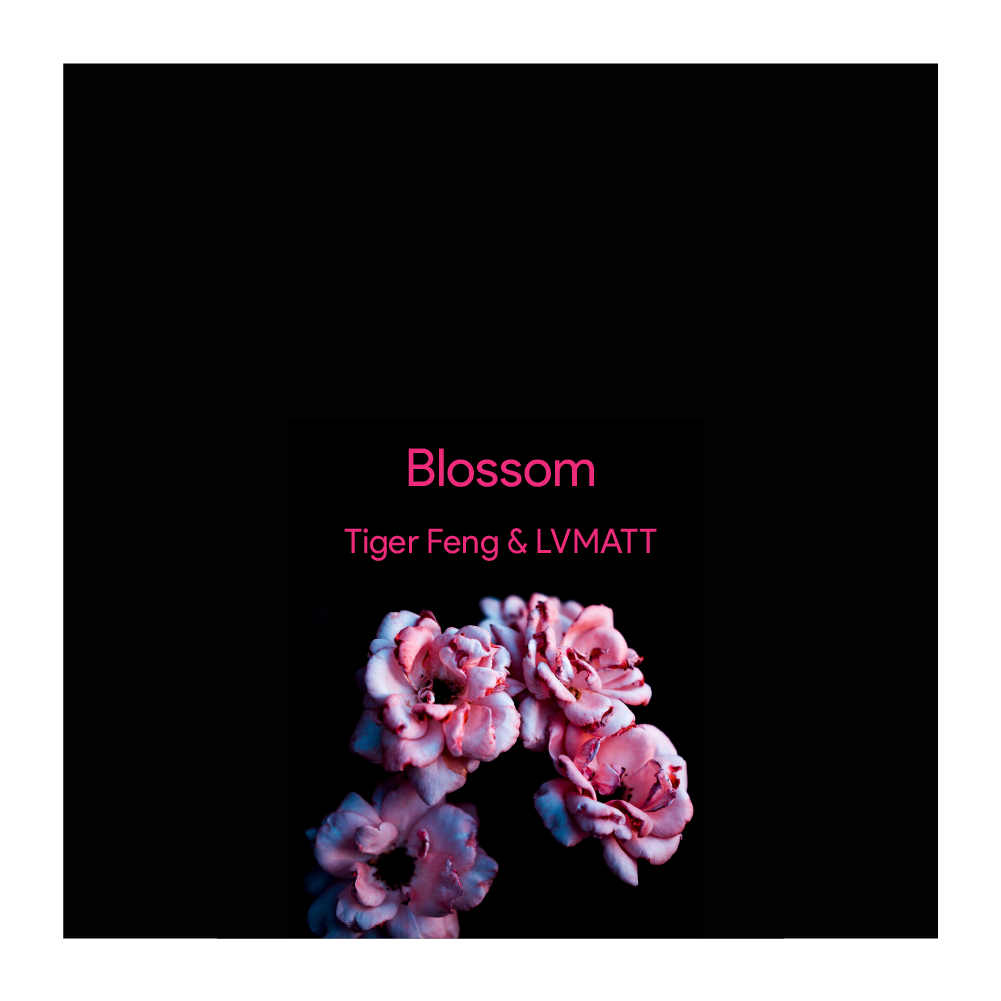 Blossom专辑