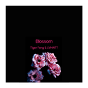 Blossom专辑